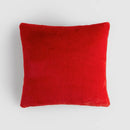 Obliečka na vankúš PAWTY HomeYou.sk