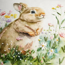 Obliečka na vankúš BUNNELLE