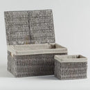 Sivý úložný box.