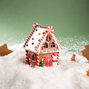 Vianočná LED dekorácia LIZZY HomeYou.sk