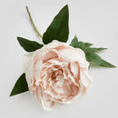 Kvet PEONIO HomeYou.sk