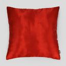 Obliečka na vankúš DARLITA HomeYou.sk