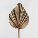 Béžový kvet z prírodného materiálu.