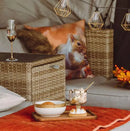 Miska ARANY homeyou.sk